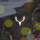 Green Dream EP