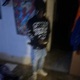 Going Wild Single
