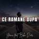 Ce Ramane Dupa feat Bibi D or Single