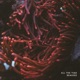 All the Time Remixed Single