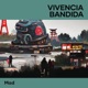 Vivencia Bandida Remastered 2024 Single