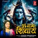 Om Namah Shivaya Single