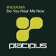 Do You Hear Me Now Remixes EP