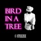 Bird In a Tree Remix Single