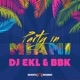 Party In Miami Single