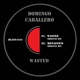 Wasted Single