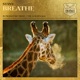 Breathe Single