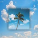 In The Summer Single