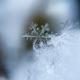 Winter Single