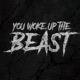 You Woke Up the Beast Single