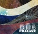 DUB PHALANX