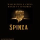 SPINZA Radio Edit feat JuniorSA Single