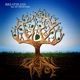 Tribe feat MC Orukusaki Single