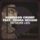 No More Lies feat Tierra Nevaeh Single