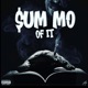 Sum Mo of It feat Flexxx Single