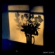 Don t Leave Single