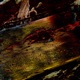 Essential Parallels 006 EP