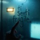 TI SENTI FRAGILE Single