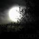 CLOROFORMO EP