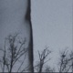 Серые Кроны Single
