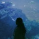 700 Intentions Single