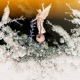 Gates of Paradise EP