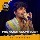 Pro Amor Acontecer feat EL PAVUNA Single