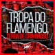 Tropa do Flamengo Terra de Criminoso feat MC Lukinha da Lacoste Mc Gordinho do Catarina Single