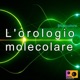 L orologio Molecolare Single