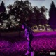 UMBRA Single