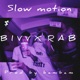 Slow Motion feat Blvv Single