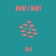 What I Want Single