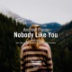 Nobody Like You Remixes EP
