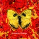Shivers Acoustic Version Single