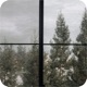 Moody Day Single
