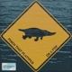 Pinch That Platypus Single