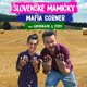 Slovenské Mamičky feat Ludovka SK Stefi Single