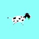 CowUrineInc Single