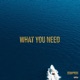 What You Need Single