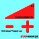Schraege Voegel Single