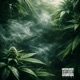 KUSHSIDE Single
