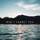 Won t Forget You Single