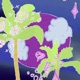 Loving heart Wonders Single