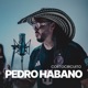 Cortocircuito Single