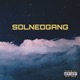 Solnedgang