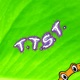 T T S T Single feat MC ZL Single