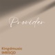Provider Single