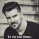 Te Voi Iubi Mereu Single