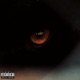 Visiones Single