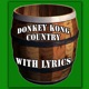 Donkey Kong Country With Lyrics Single